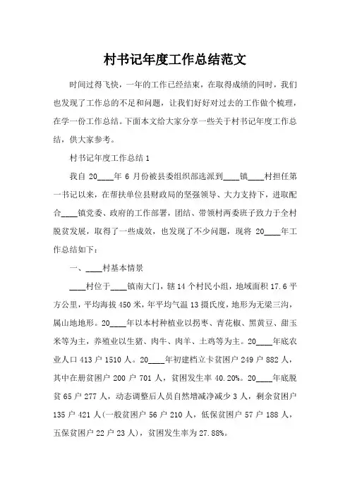 村书记年度工作总结范文