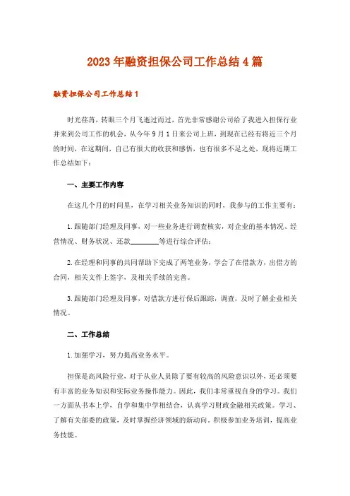 2023年融资担保公司工作总结4篇