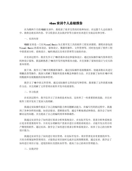 vbse实训个人总结报告