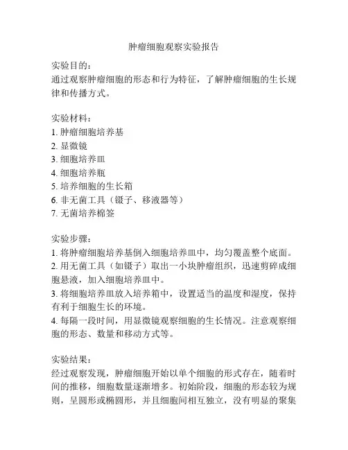 肿瘤细胞观察实验报告