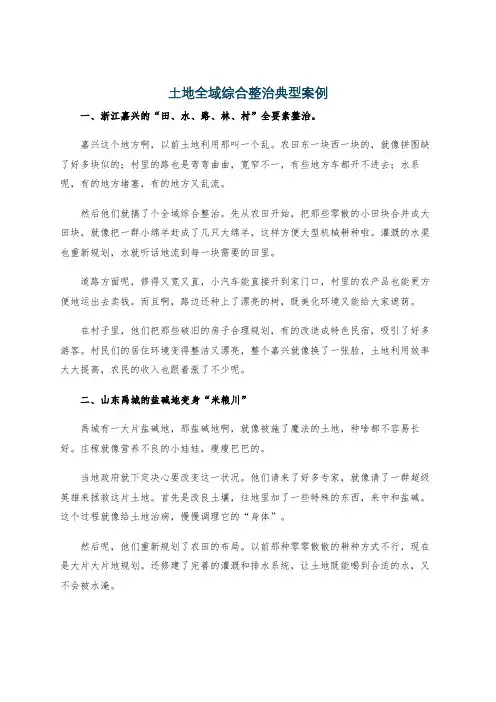 土地全域综合整治典型案例
