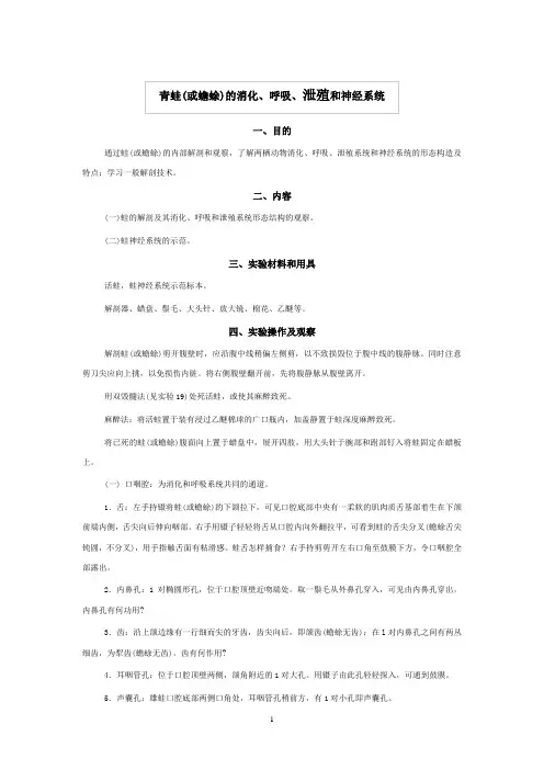 青蛙(或蟾蜍)的消化、呼吸、泄殖和神经系统