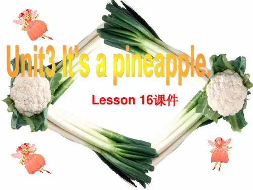 精通版四年级英语上册Unit 3 It's a pineapple Lesson 16 课件3