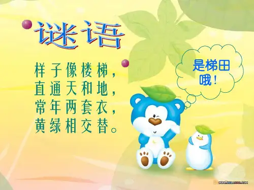 七年级历史与社会上册第四单元第二课第二课时如画的梯田课件人教版
