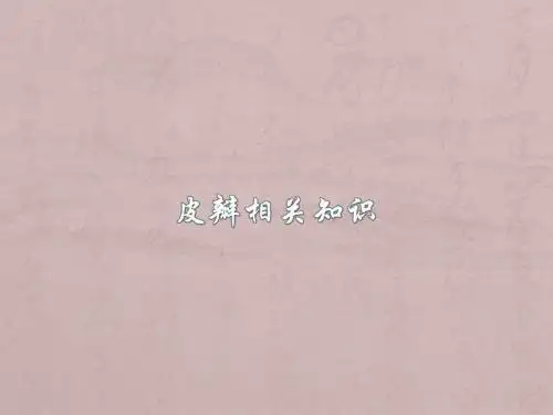 皮瓣相关知识PPT课件