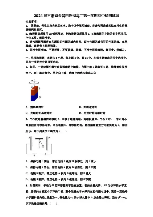 2024届甘肃省金昌市物理高二第一学期期中检测试题含解析