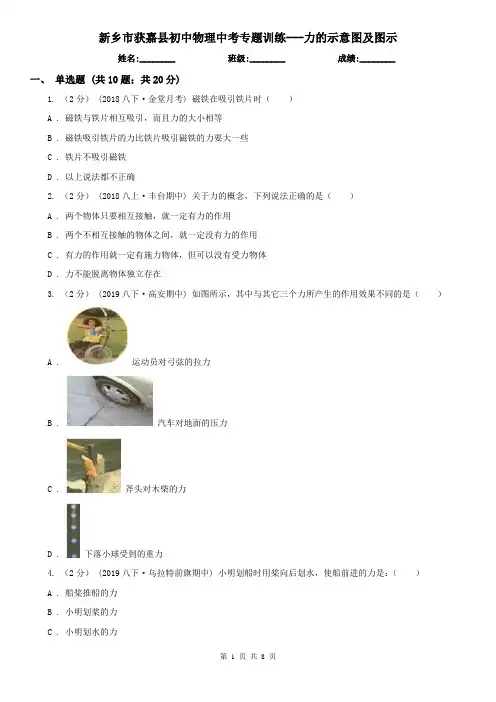 新乡市获嘉县初中物理中考专题训练---力的示意图及图示