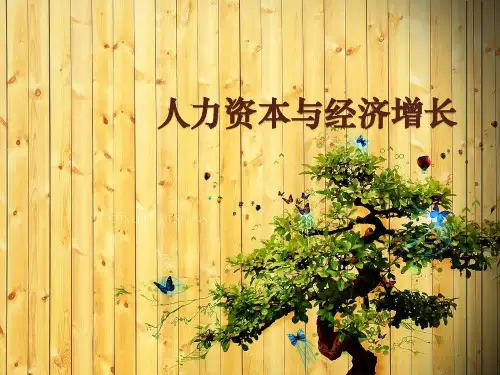 人力资本与经济增长