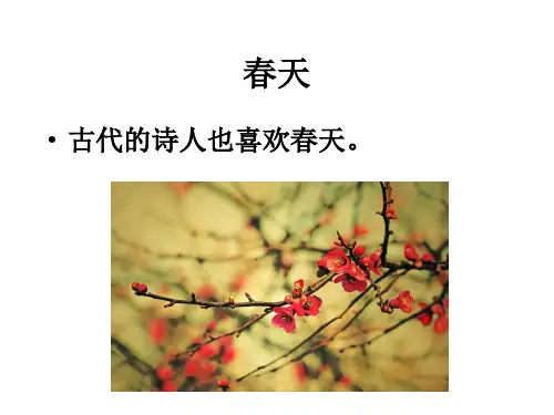 古诗两首《古诗_春晓》