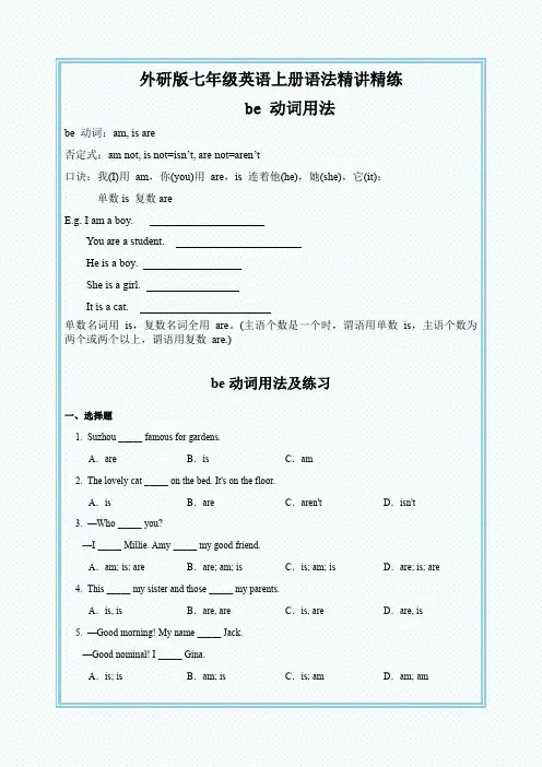 外研版七年级英语上册语法精讲精练