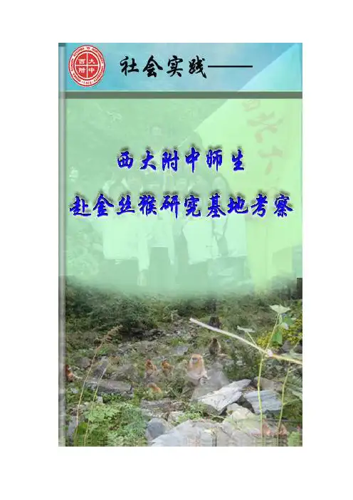 金丝猴基地考察报告