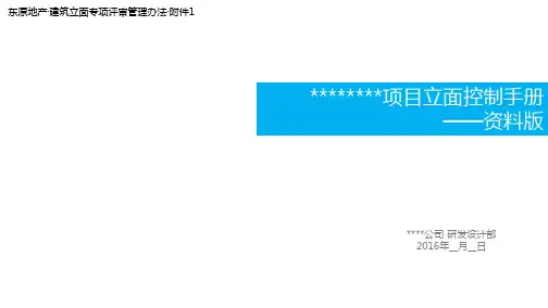 3.立面控制手册(模版)