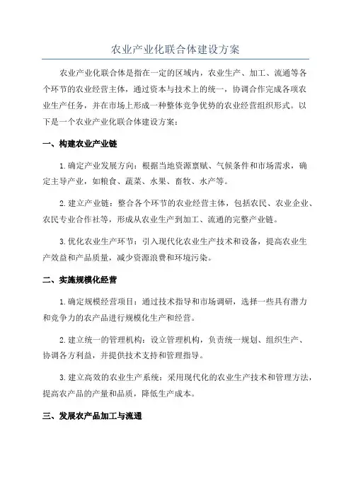 农业产业化联合体建设方案