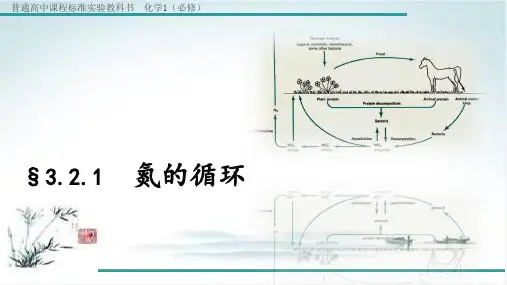 鲁科版高中化学《氮的循环》完美课件1