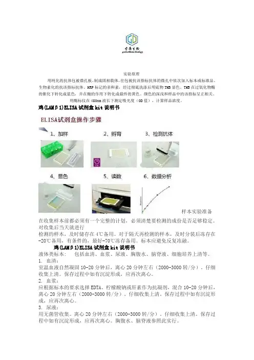 鸡(LAMβ1)ELISA试剂盒kit说明书