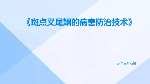 斑点叉尾鮰的病害防治技术