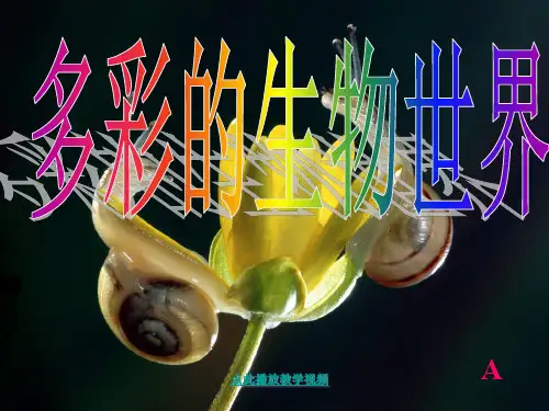 高师附属幼儿园《蜗牛(001)》PPT课件