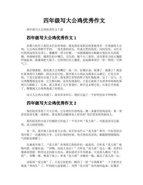 四年级写大公鸡优秀作文