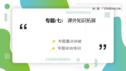 2025年中考化学一轮复习(广西专版)专题(07)：课外知识拓展课件