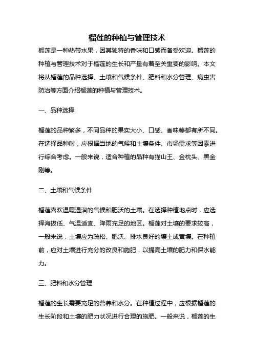 榴莲的种植与管理技术