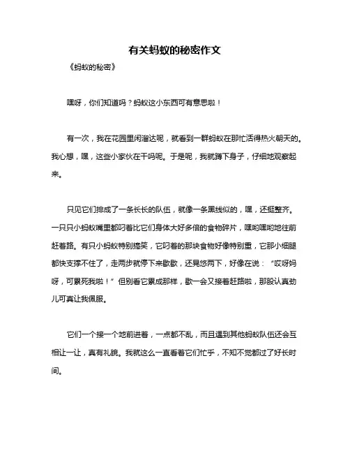 有关蚂蚁的秘密作文