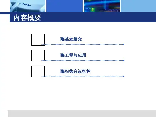 酶工程应用.ppt