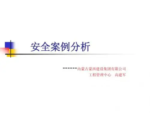 安全案例分析