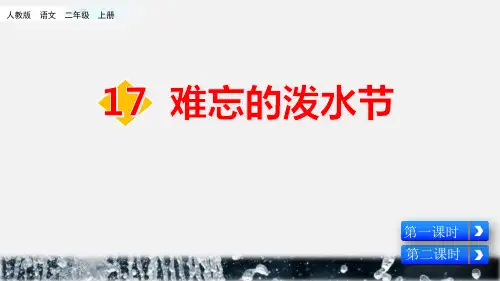 《难忘的泼水节》语文教学PPT课件(4篇)