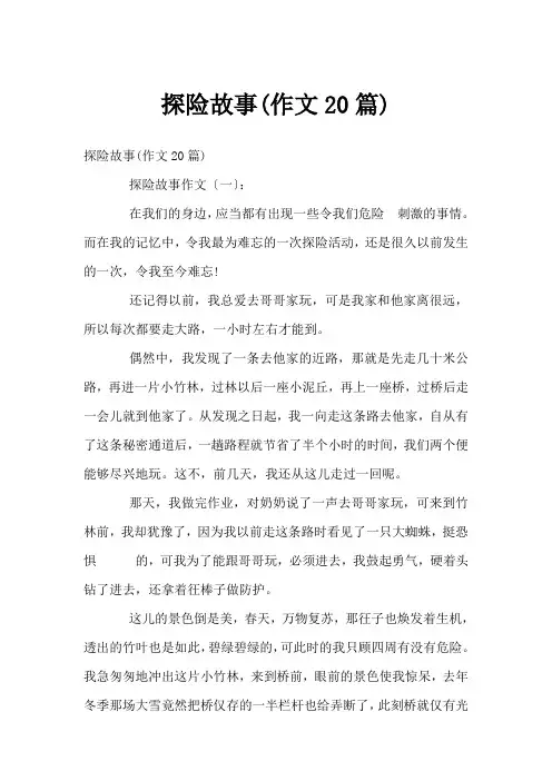 探险故事(作文20篇)