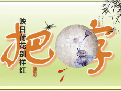 小学被字句和把字句的转换课件