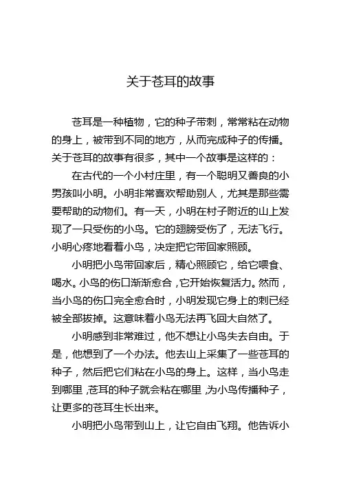 关于苍耳的故事