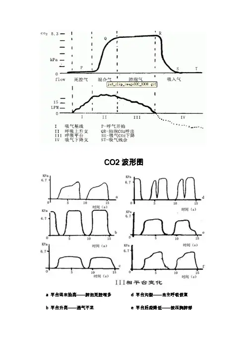 CO2曲线图解