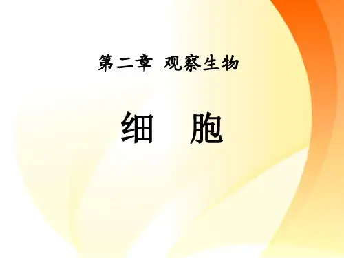 《细胞》PPT课件【优秀课件PPT】