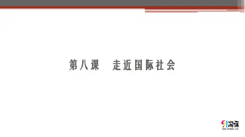 课件9：4.8 走近国际社会