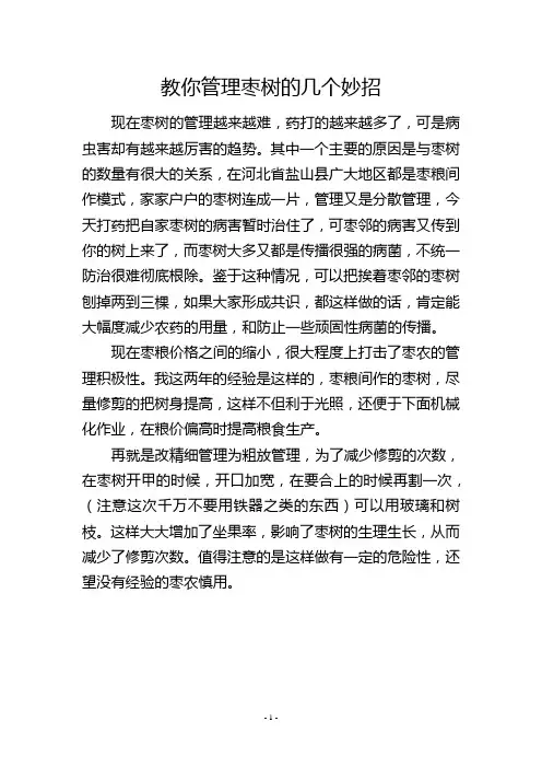 教你管理枣树的几个妙招