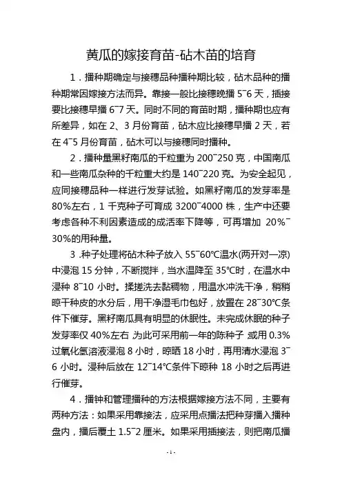 黄瓜的嫁接育苗砧木苗的培育