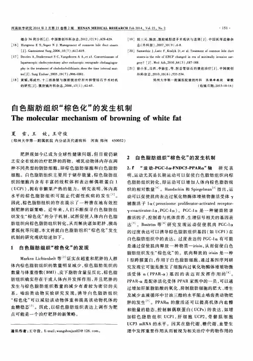 白色脂肪组织“棕色化”的发生机制