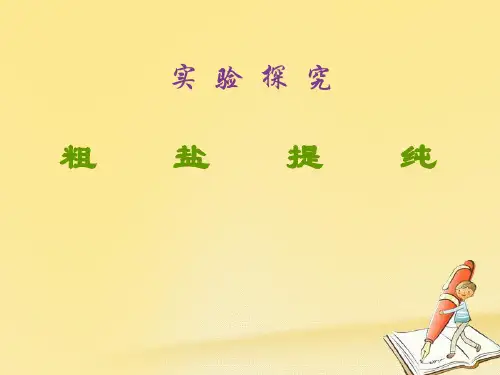 人教版高中化学必修一 实验课件：1 粗盐的提纯课件 (共8张PPT)