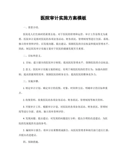 医院审计实施方案模板