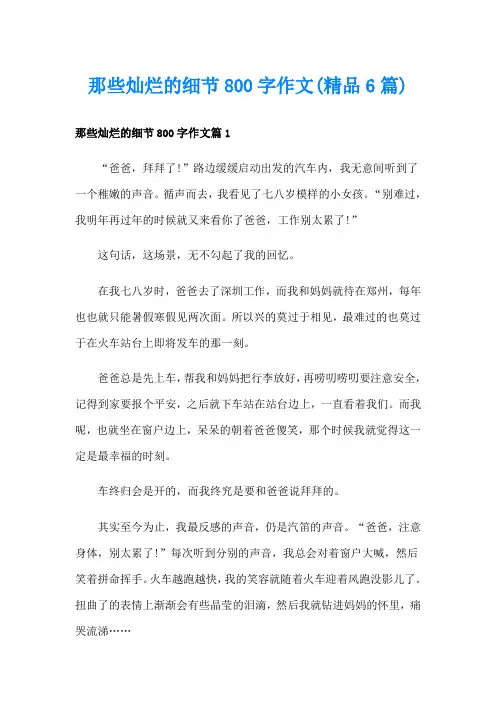 那些灿烂的细节800字作文(精品6篇)