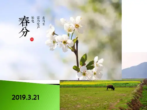 沪教版地理七年级下册1.3 因地制宜发展农业(共25张PPT)