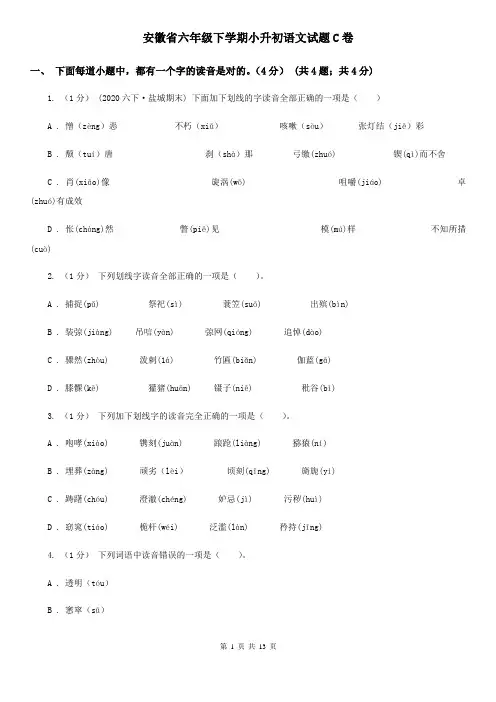 安徽省六年级下学期小升初语文试题C卷