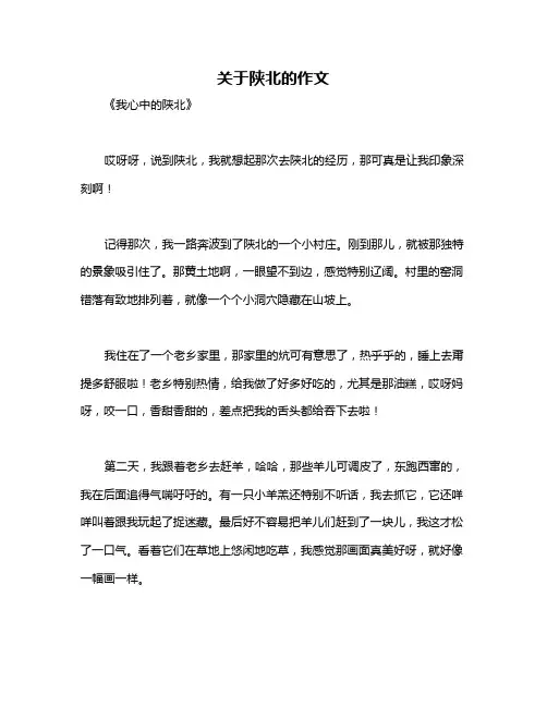 关于陕北的作文