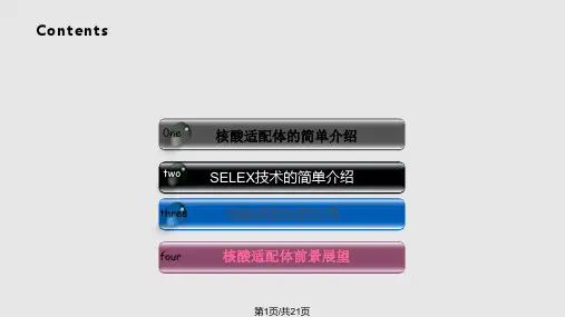 核酸适配体简介PPT课件