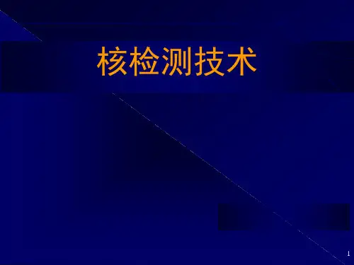 核技术之核检测(物理学与高新技术 )