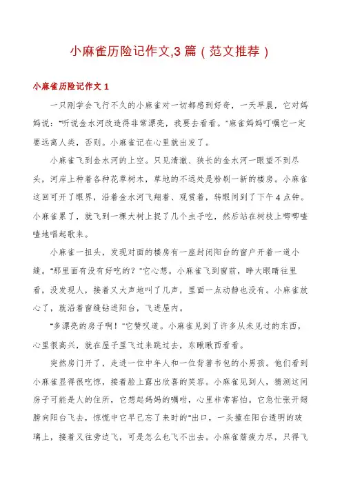 小麻雀历险记作文,3篇