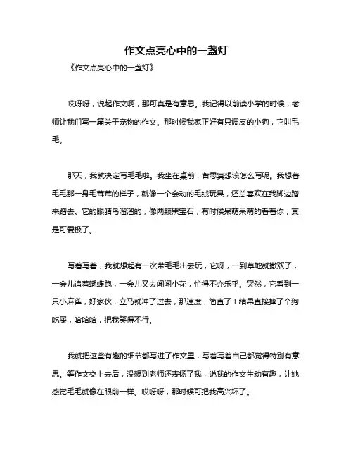 作文点亮心中的一盏灯