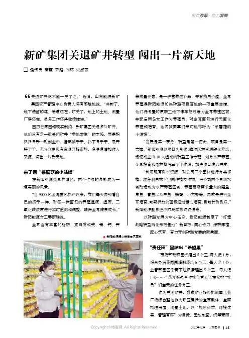新矿集团关退矿井转型 闯出一片新天