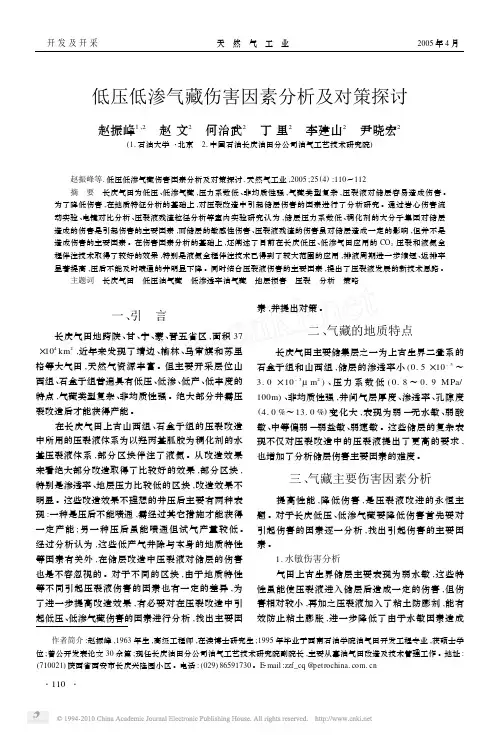低压低渗气藏伤害因素分析及对策探讨