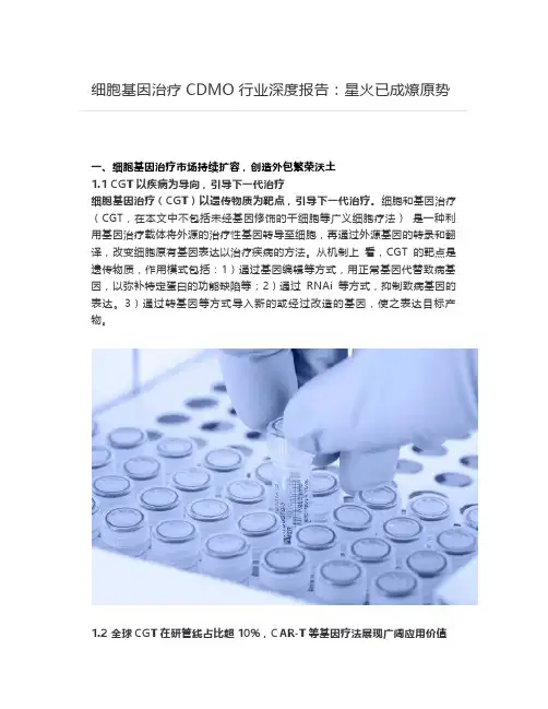 细胞基因治疗CDMO行业深度报告：星火已成燎原势